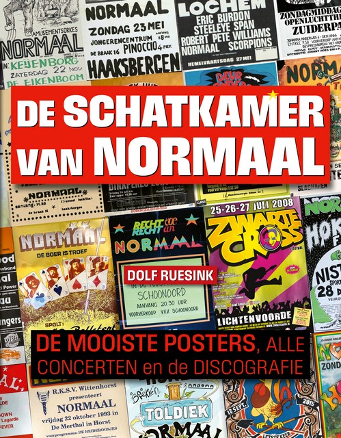 Cover boek De schatkamer van Normaal
