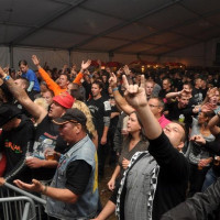 normaal oschersleben  d   medium 