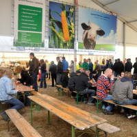 normaal oschersleben  d   medium 